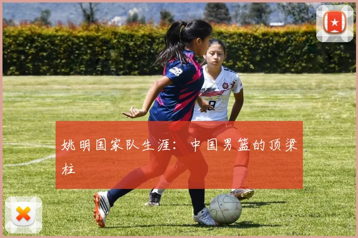 姚明国家队生涯：中国男篮的顶梁柱
